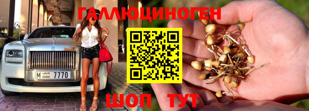 Галлюциногенные грибы мухоморы Клинцы