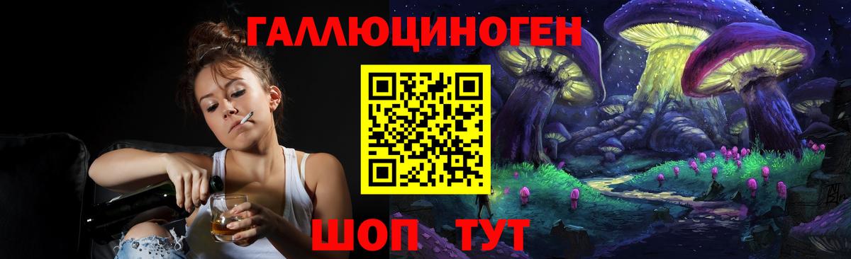 Галлюциногенные грибы Psilocybe  Вход с VPN  Клинцы 